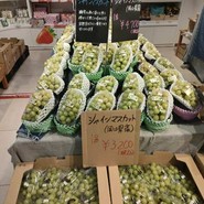 龍野西サービスエリア 下り ショッピングコーナー