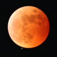 店員さんが店の前から撮ってくださいました。