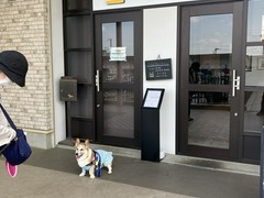 コーギーバンズバーガー
