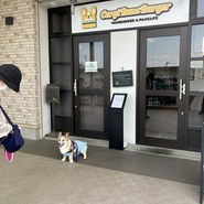 コーギーバンズバーガー