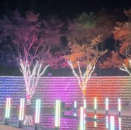 ゾーナイタリア 蜂ヶ峯