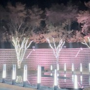 ゾーナイタリア 蜂ヶ峯