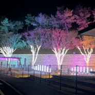 ゾーナイタリア 蜂ヶ峯