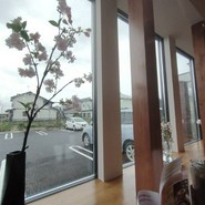 こだわりキッチン桜