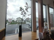 こだわりキッチン桜