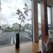 こだわりキッチン桜