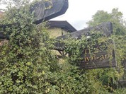 ティーズリンアン 尾張旭本店