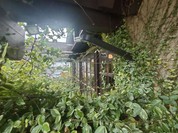 ティーズリンアン 尾張旭本店