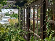 ティーズリンアン 尾張旭本店