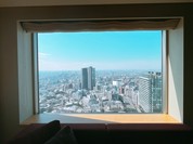 セルリアンタワー東急ホテル エグゼクティブラウンジ