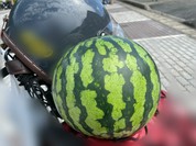 道の駅 田沢 なごみの郷