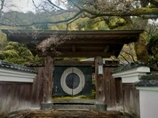 梅の花 太宰府別荘 自然庵