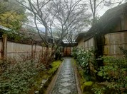 梅の花 太宰府別荘 自然庵