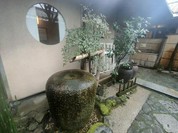 梅の花 太宰府別荘 自然庵