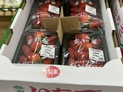 道の駅 ふたかみパーク當麻