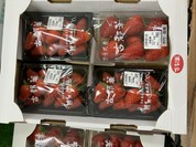 道の駅 ふたかみパーク當麻