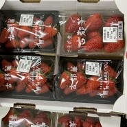 道の駅 ふたかみパーク當麻