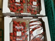 道の駅 ふたかみパーク當麻