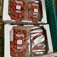 道の駅 ふたかみパーク當麻