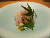 寒鰤のお造り