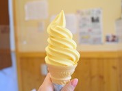 ロープウェイ前 ええもんや