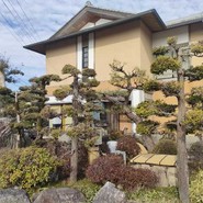 魚伴