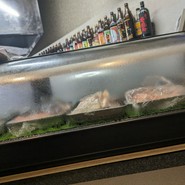 本格炭火焼とりとさかな　ゆうま
