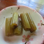 山法師