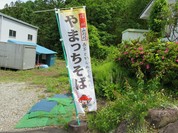 山法師
