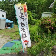 山法師