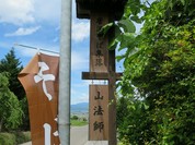 山法師