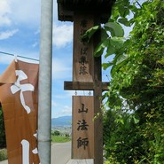 山法師