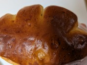 カトレア