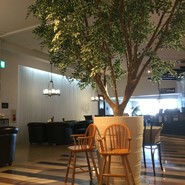 モア カフェ 仙台泉店