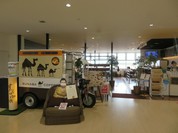 すなば珈琲 鳥取砂丘コナン空港店