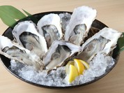陸前高田産日本一の生牡蠣