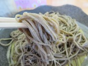 伯蕎庵 しばた
