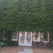 チロリン村