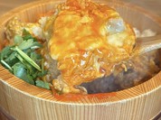 鴨の助