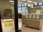 マロニエ食堂
