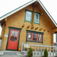 サラセン人の麦