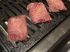 牛術黒帯
