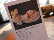 椿サロン 渋谷