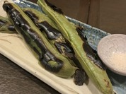在月