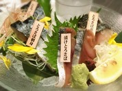 とろさば料理専門店 SABAR 東京GEMS大門店