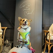 UNO cafe