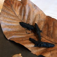 イルギオットーネ丸の内