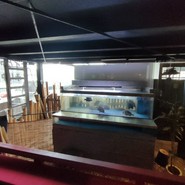 肉と魚とめん料理が充実している店 なにがし 一宮店