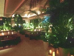 Lobby Bar
