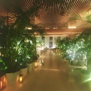 Lobby Bar